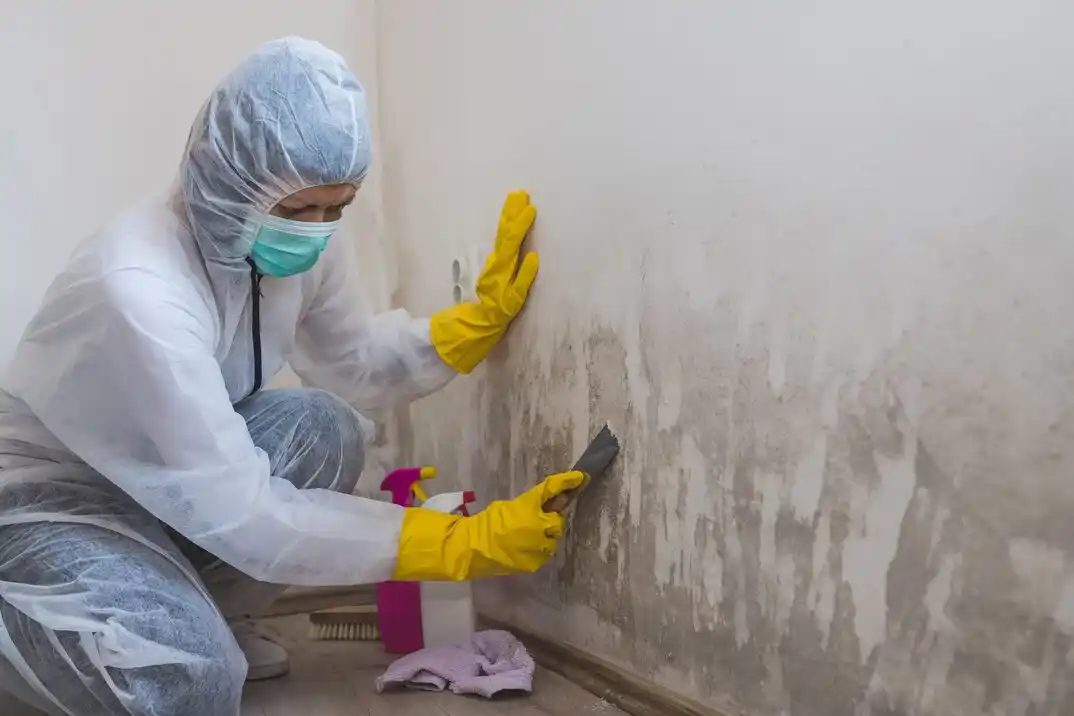 water damage restoration service Summerhaven
